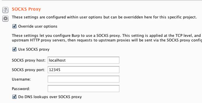 Burp Suite proxy settings
